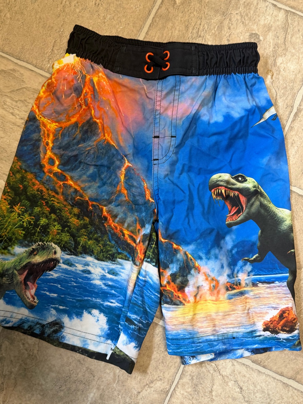 wonder nationBoys Swim Shorts with Realistic Dinosaur Print